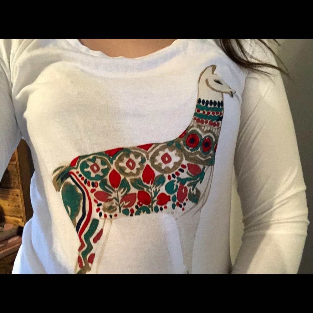 Llama shirt